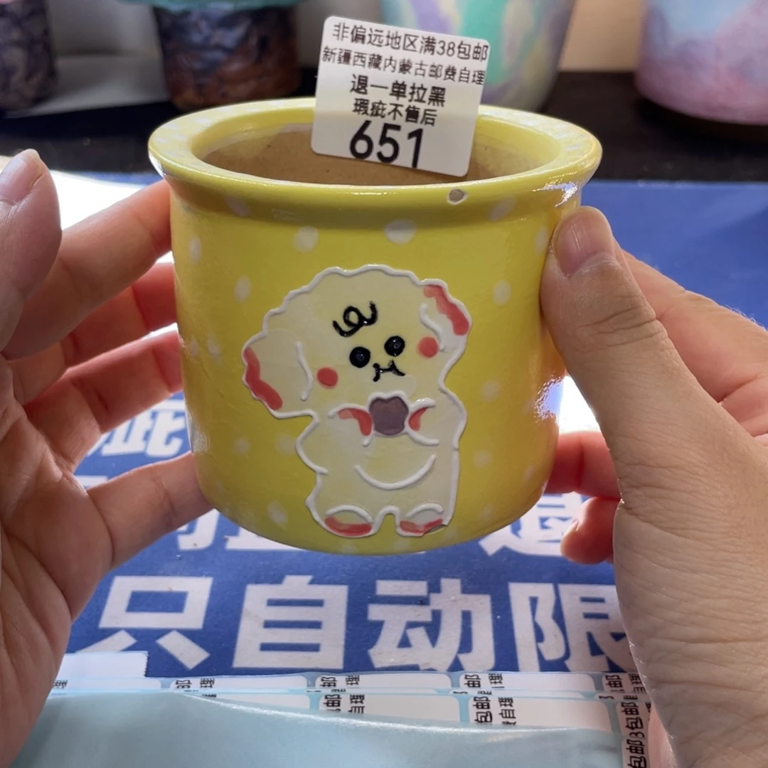 特价微瑕疵不退不换哦651