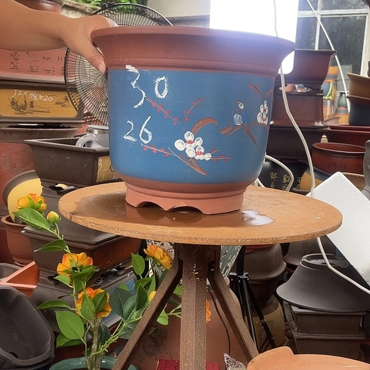 两个蓝色点菜金钟花盆紫砂花盆