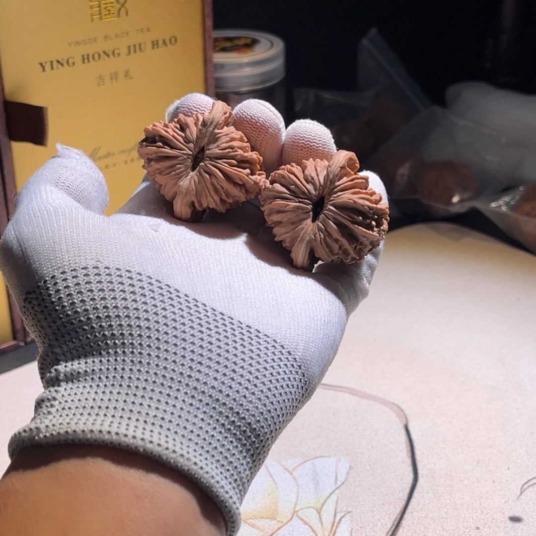 剑***心楼子楼子楼子楼子