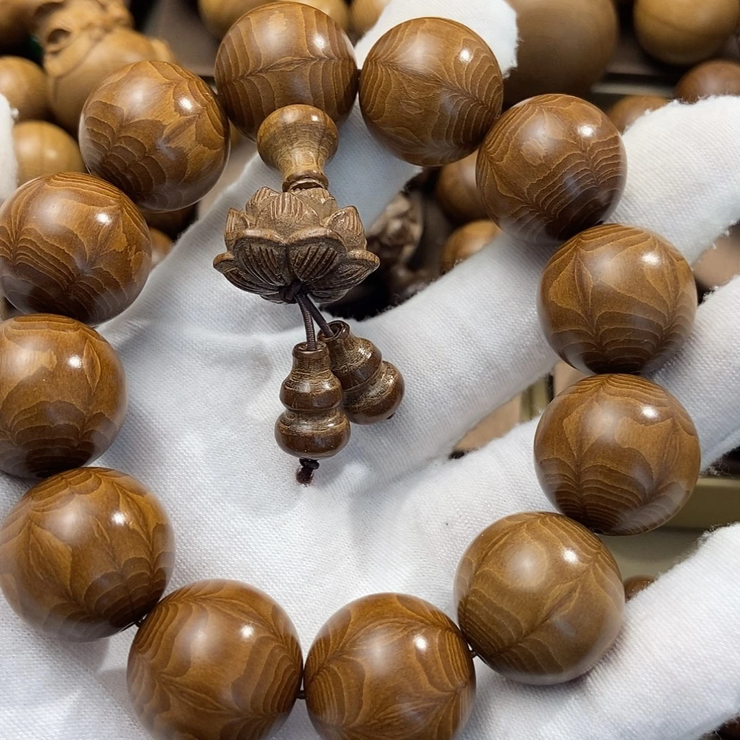 上***地六道木山西五台山