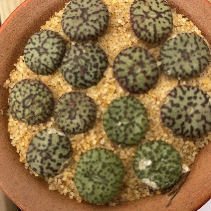 31128安贞一组。