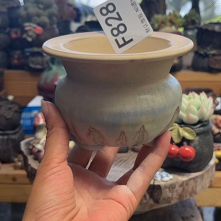 要不要这样的生活里有这么828