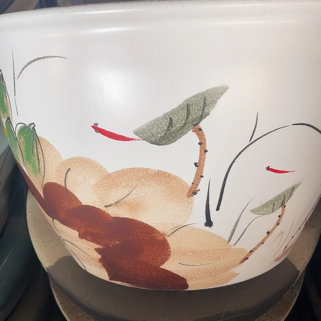 缸荷趣41✖️25➕圆底座
