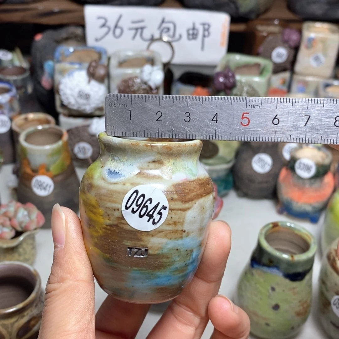 拍5送一个小礼物