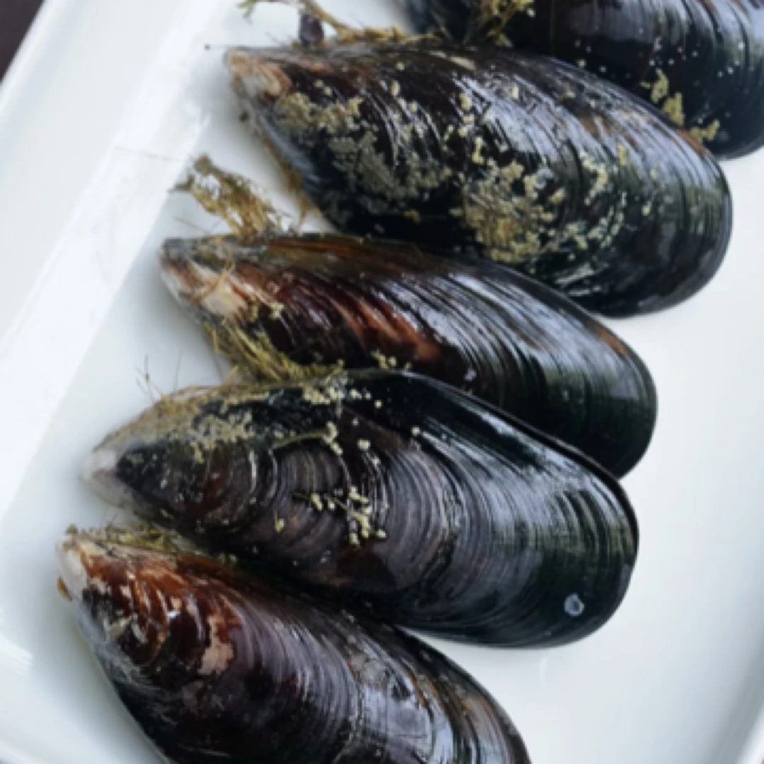 淡菜海虹贻贝300g