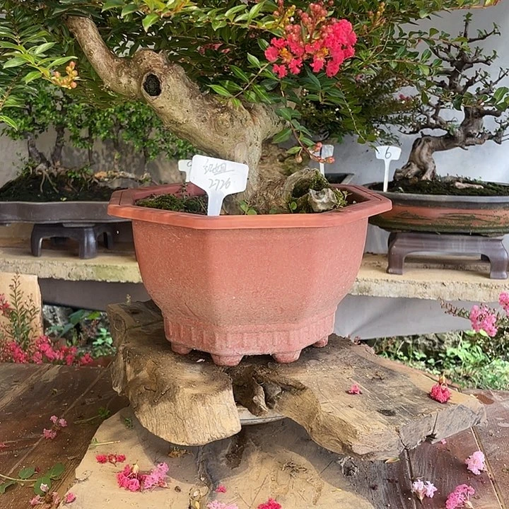 少量花朵（建议范围：2朵-5朵 或40%以下）