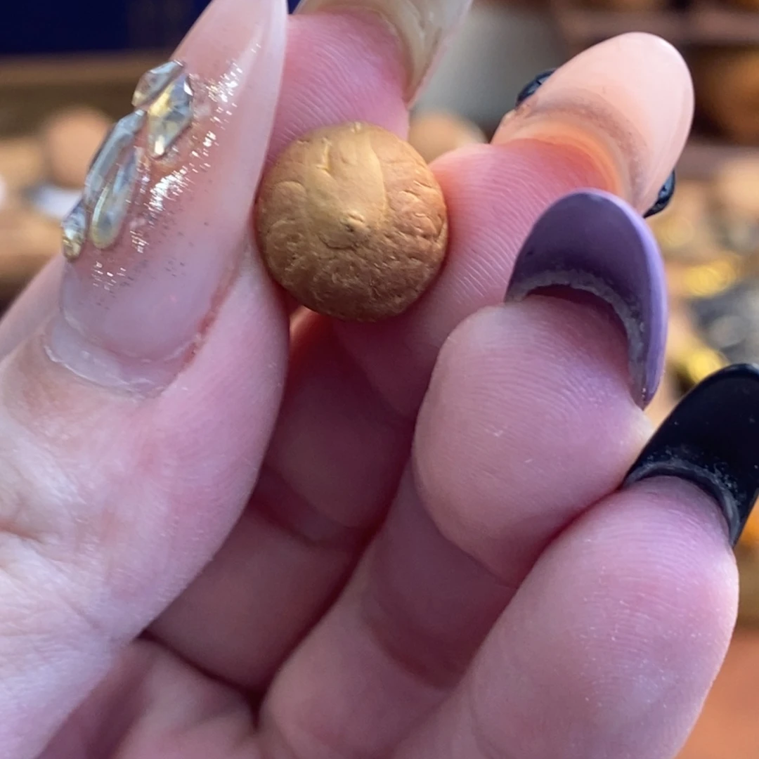 吊坠凤眼菩提11佛眼单颗