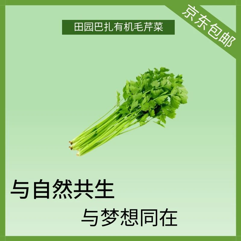 【新品福利】田园巴扎有机毛芹菜