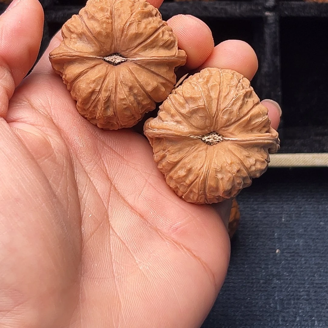 发***彭文玩核桃吊坠163-1113  发型设计彭