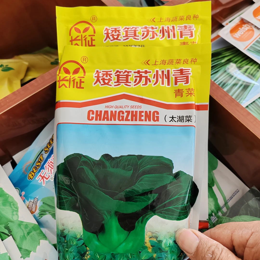 苏州青抗寒肉厚黑叶矮脚苏州青种子四季青菜种籽