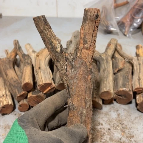 大果紫檀（缅甸花梨）張**!