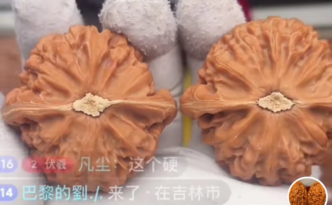 宫灯玉玺狮子头，全品白茬精对，边44肚41.5