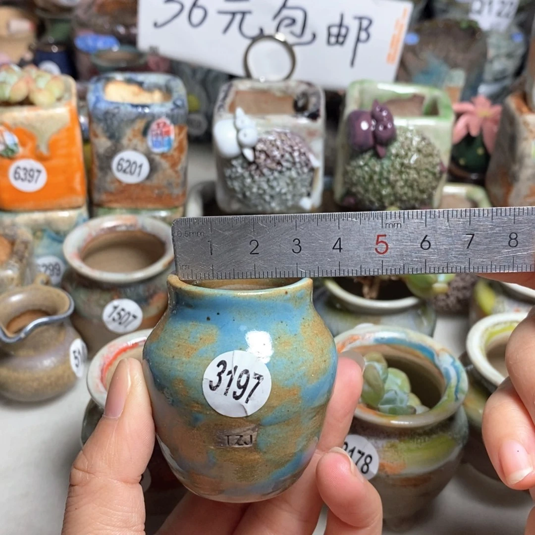 拍5送一个小礼物