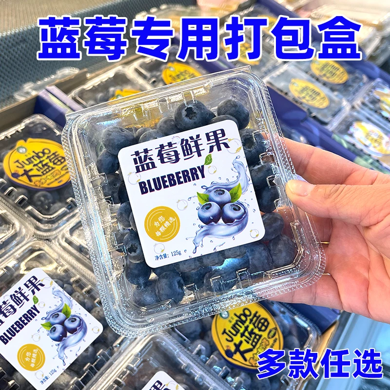 精品蓝莓包装盒一次性方形水果打包盒透明带盖树莓盒商超保鲜盒