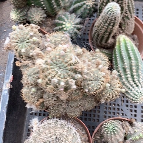 框12清仓瑕疵2467788