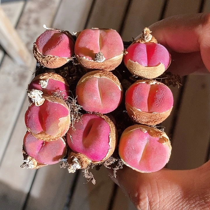 10303。    一组。