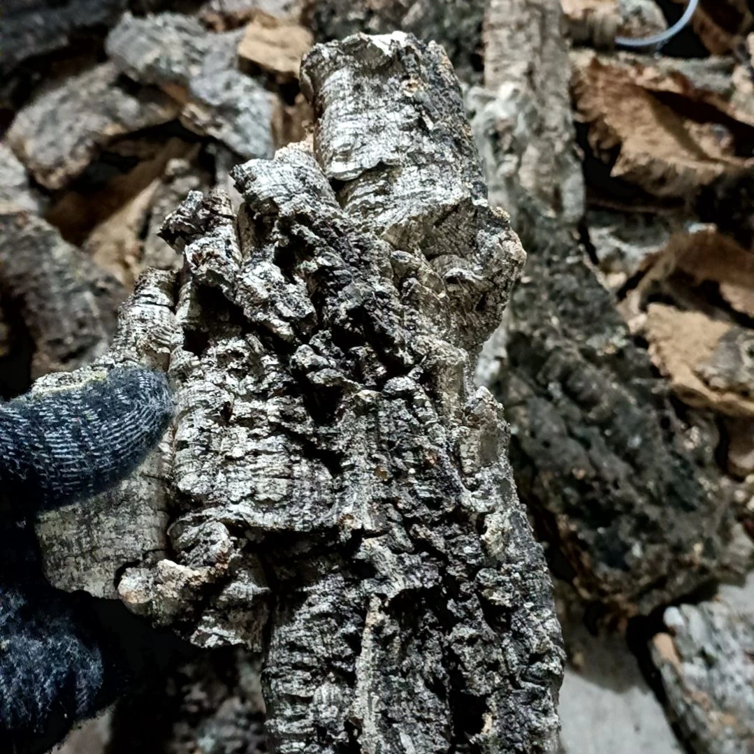 木一物一拍一物一发