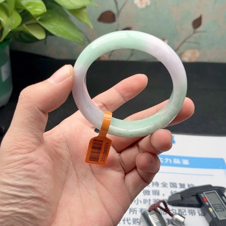 未镶嵌手镯翡翠5354 21