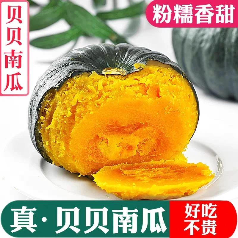 【柔柔专属】 精选优质真贝贝南瓜粉糯香甜板栗味不粉不糯包赔