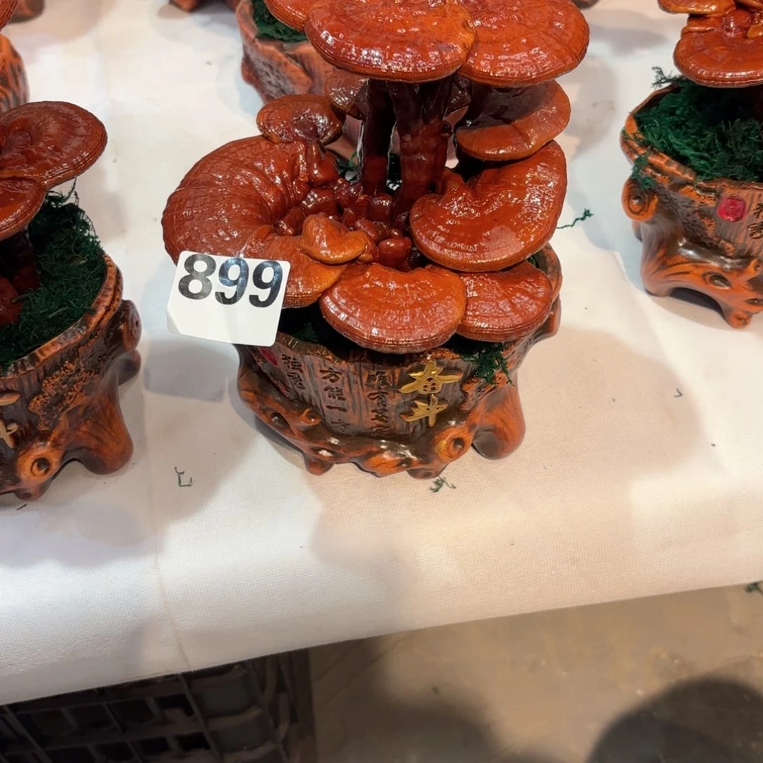 霞***姐无花朵灵芝88888888888888888