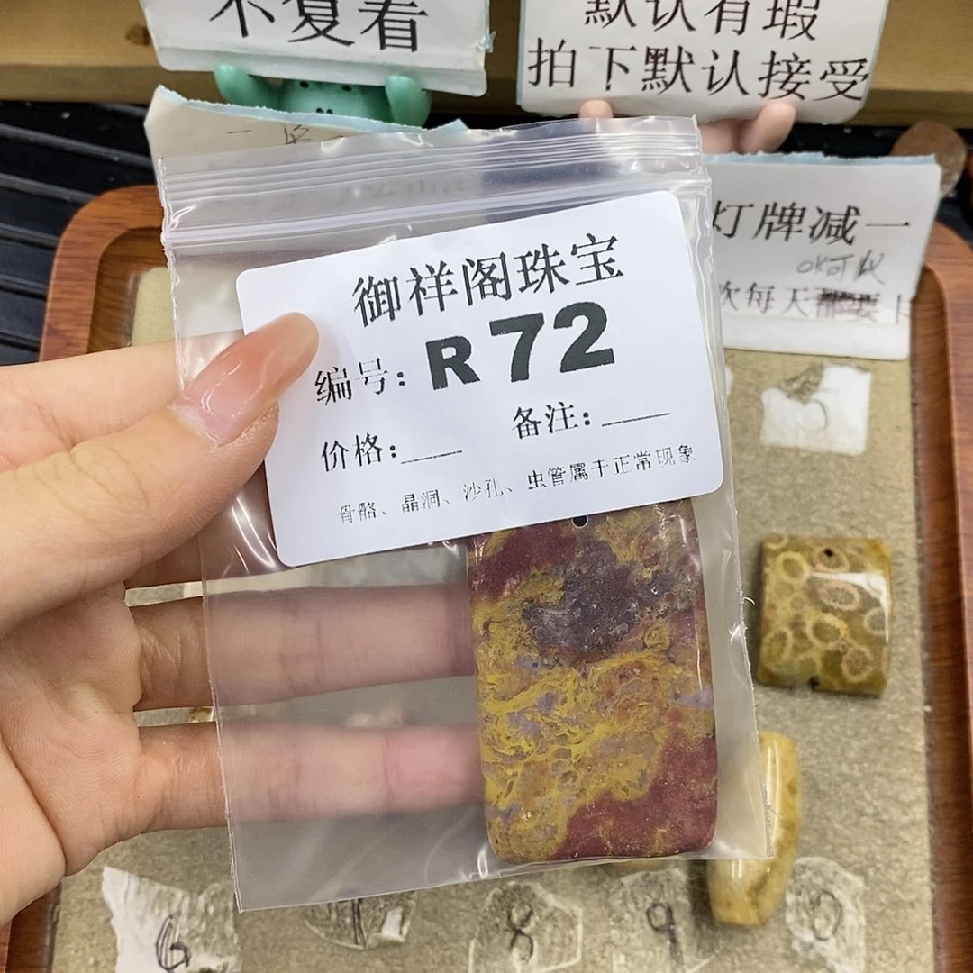 硅化珊瑚（珊瑚玉）未镶嵌颈饰一****儿