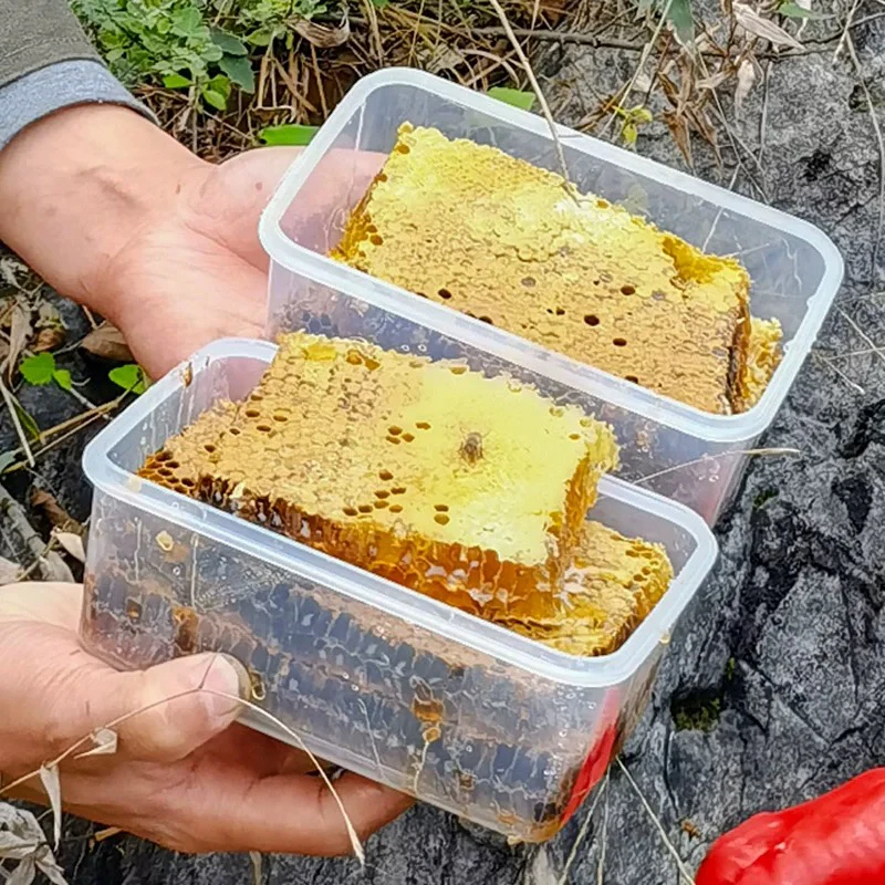 秦岭大山里一年割一次的好货土蜂巢蜜