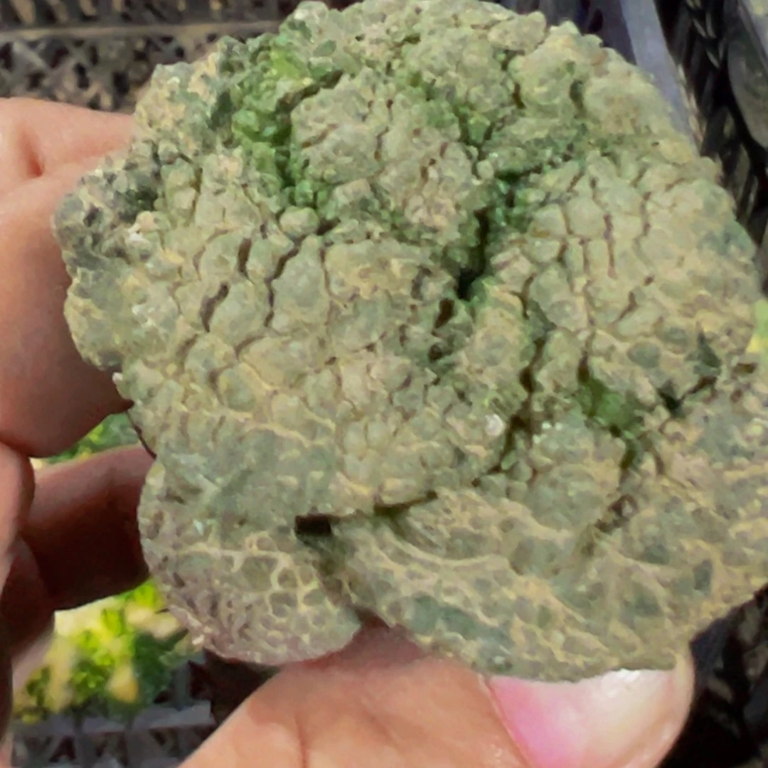 无花朵福利大尤哥怒牡丹779