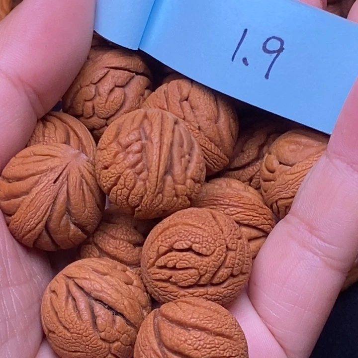 秦岭龙纹桃核14颗