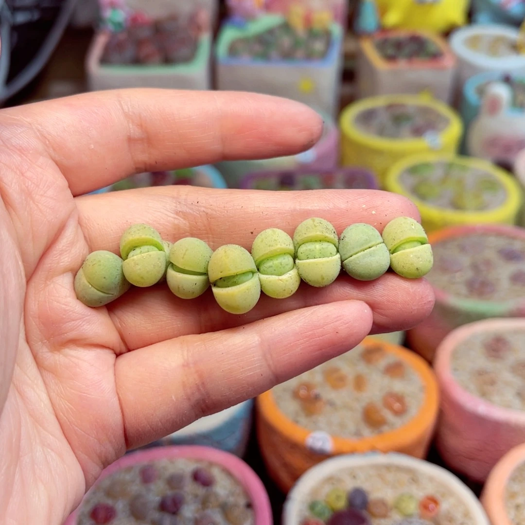 481. 999999999999999999