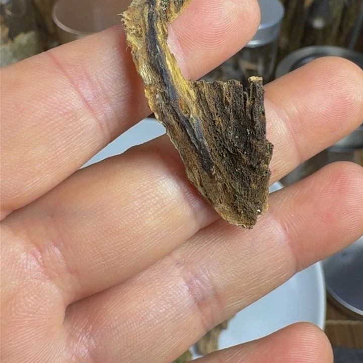 沉香沉香木制品广西虎斑棋0.46克