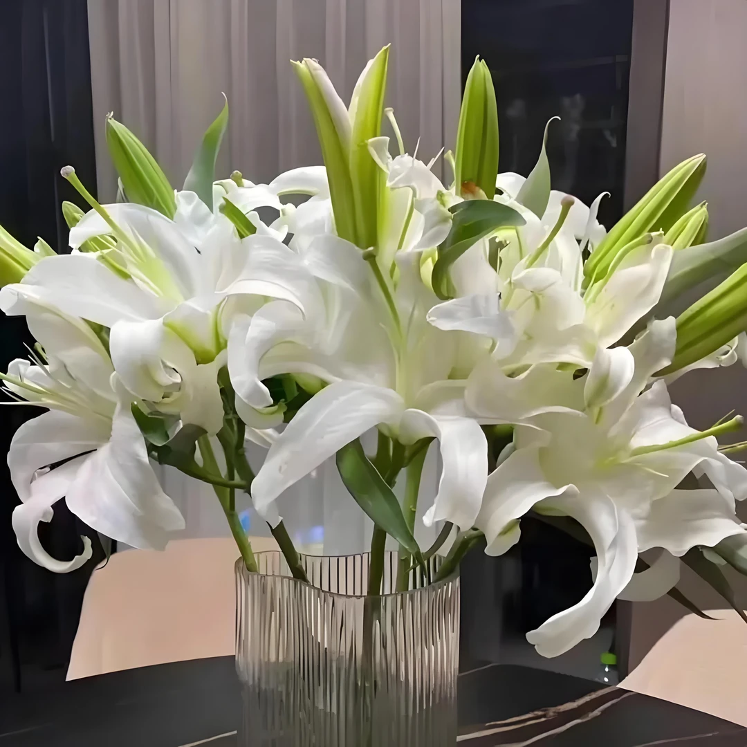 鲜花 裸花价 香水百合运损20%不售后
