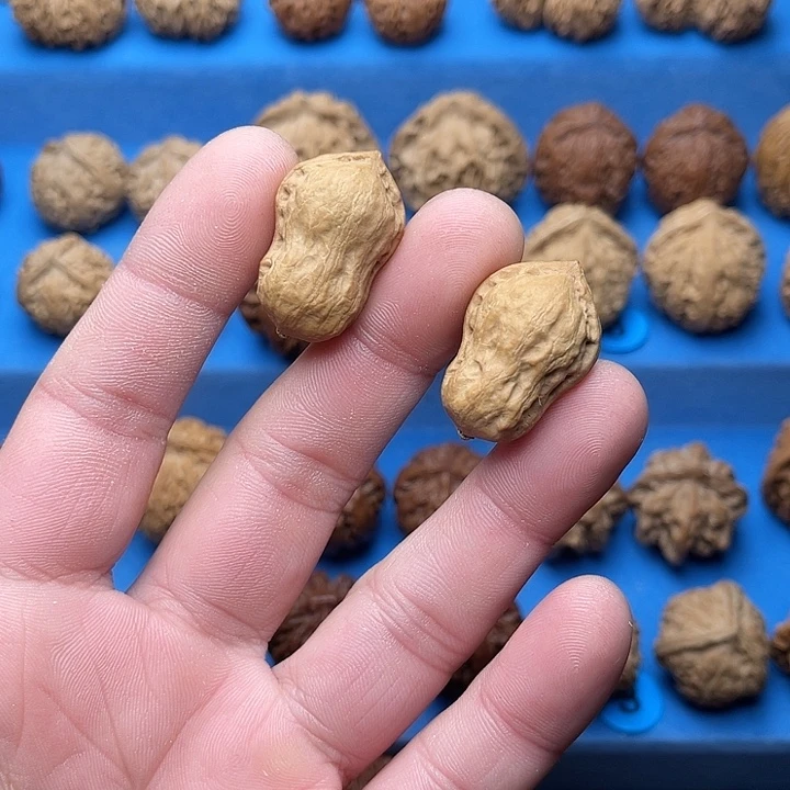 文玩核桃把件花生