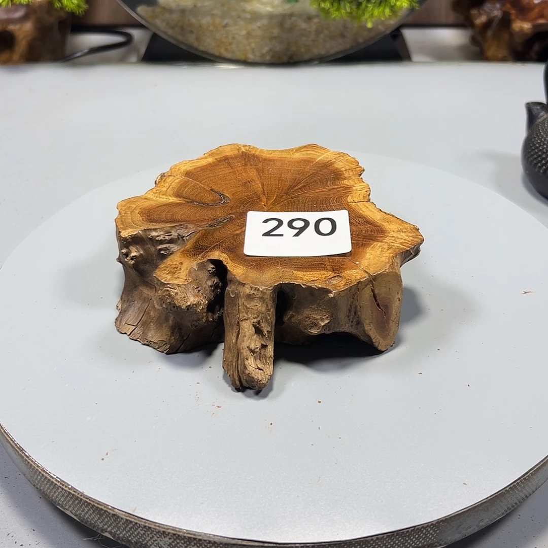 大果紫檀（缅甸花梨）喜*