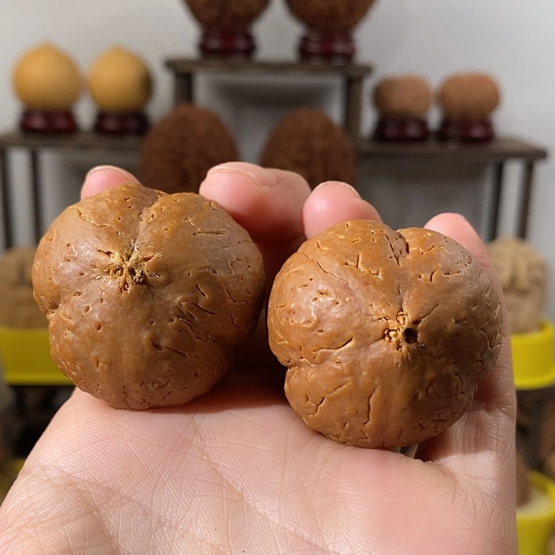 吊坠文玩核桃梅花金刚38
