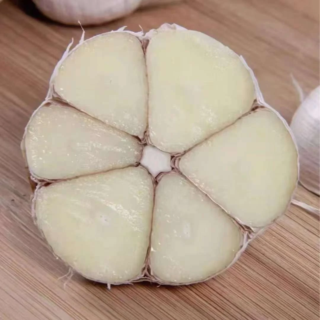 正宗宝坻六瓣红紫皮大蒜50头，大果单果直径4厘米左右