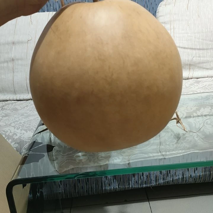 皮***卡藤 家居摆件，葫芦摆件