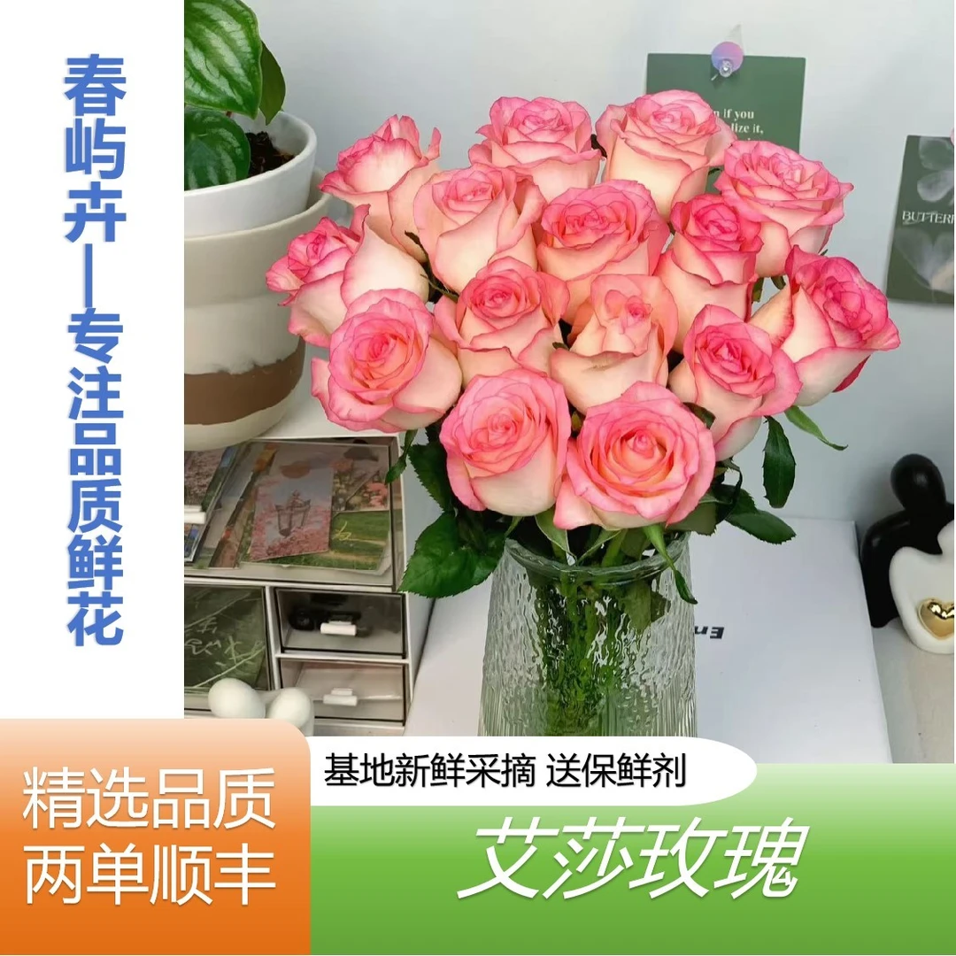 【艾莎10支】云南鲜花基地直发全场鲜花任意满两单升级顺丰送货上门