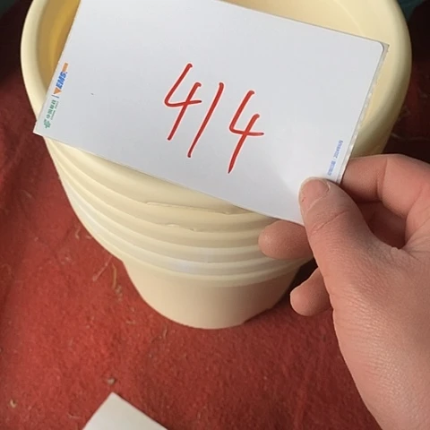 树脂编号414缺口