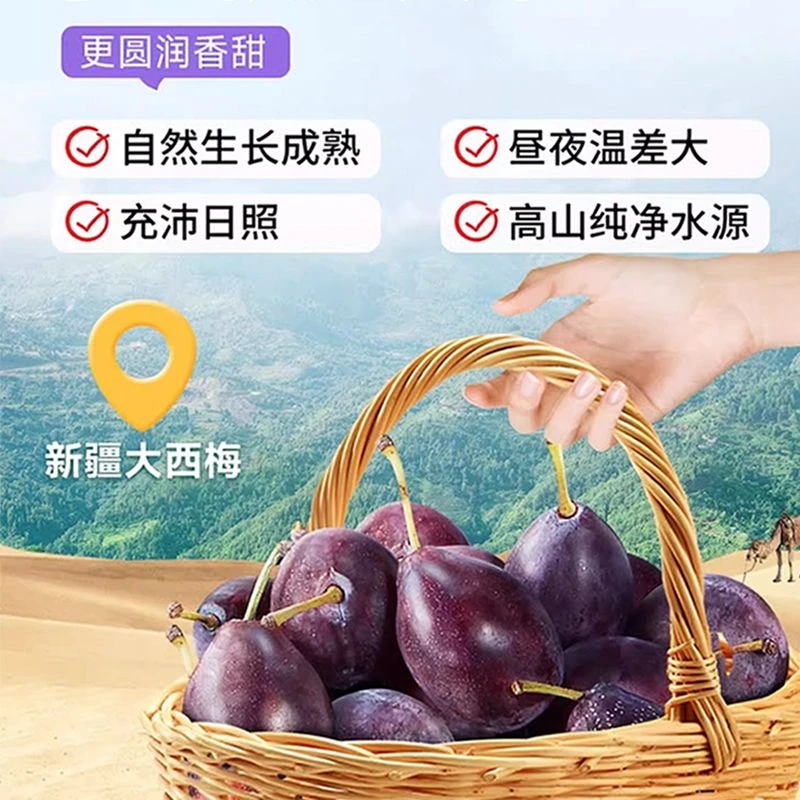新疆A级大西梅新鲜水果批发应季高山西梅鲜果孕妈宝宝【顺丰包邮】