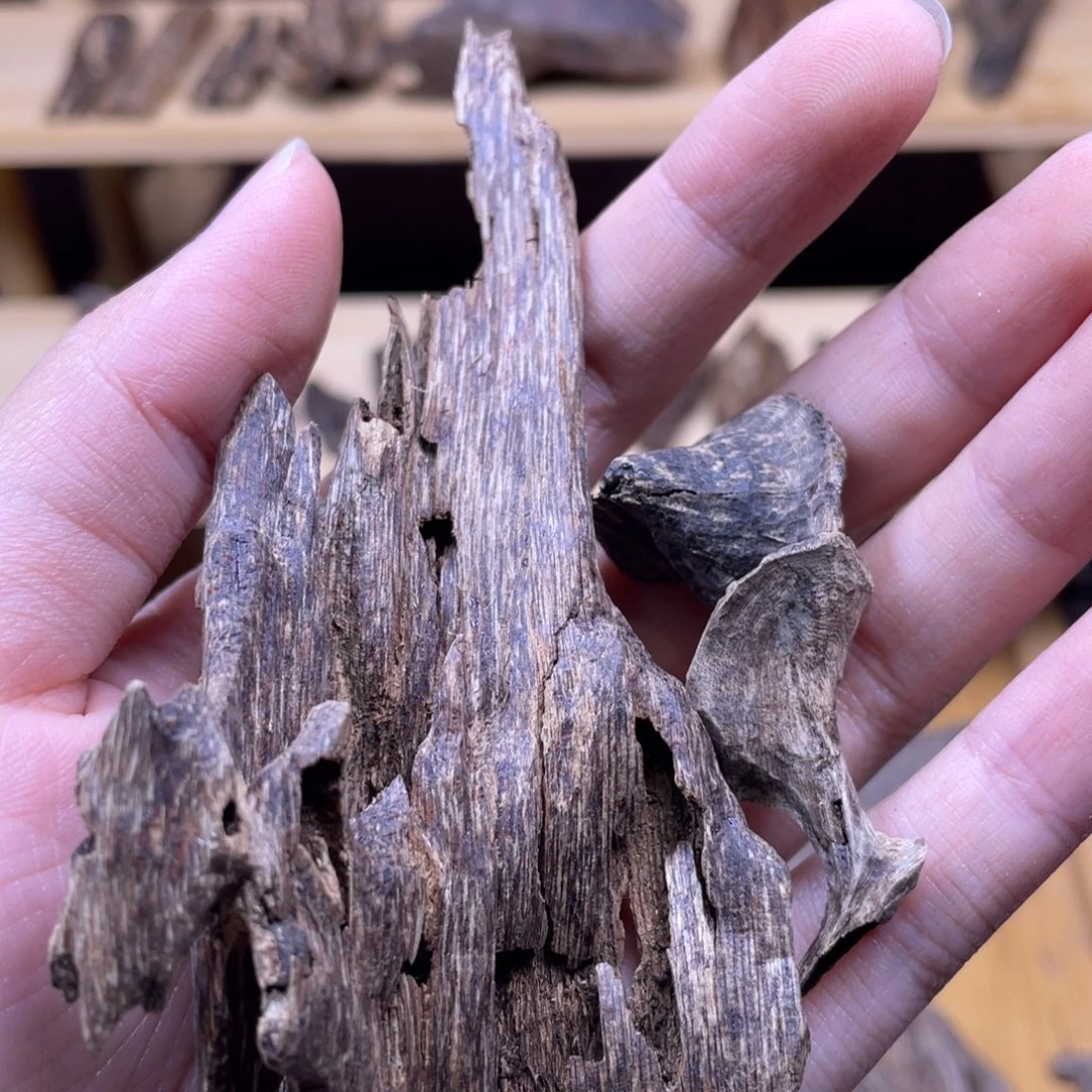 陈***洋9.5克海南大山淳化老野料