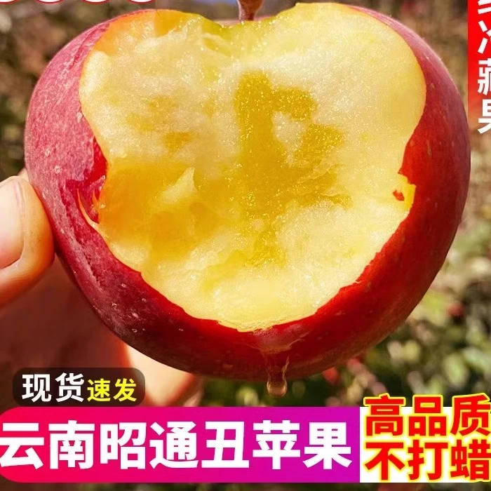 云南昭通头茬富士丑苹果当季新鲜果现摘现发纯甜无酸