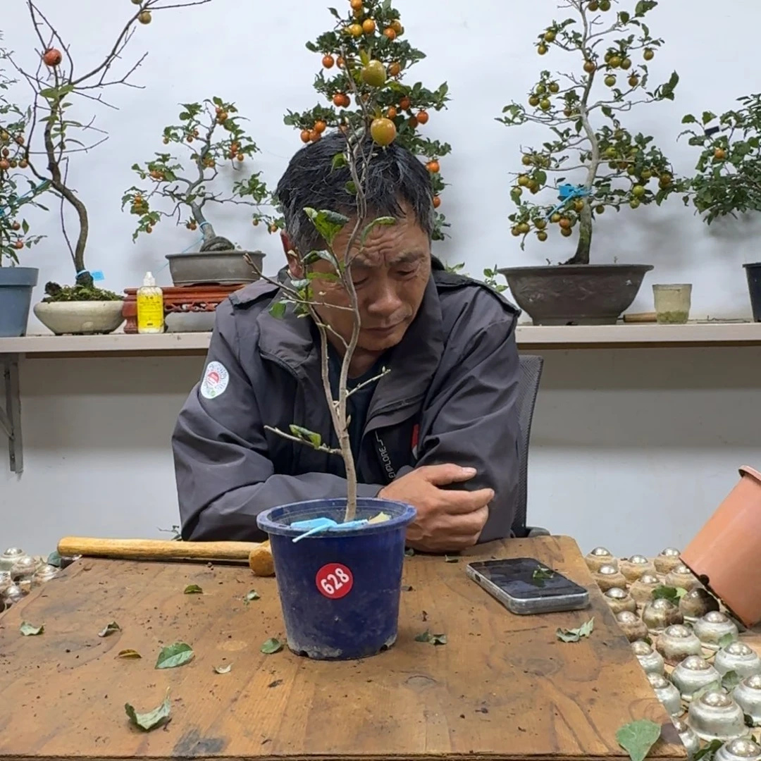 野***牛无花朵628顺丰到付不包邮