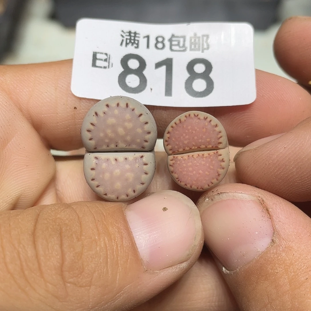 爱***.当天凑满十八元包邮818