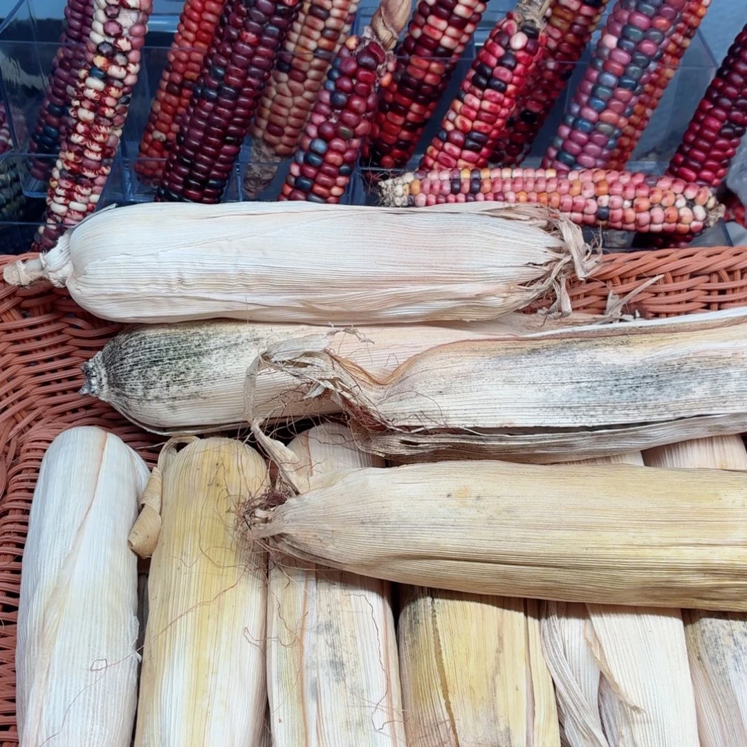 艾***雨白玉菩提吊坠文玩精品文玩精品