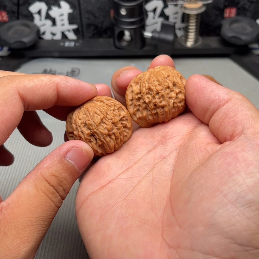 啜***1哈哈哈哈哈哈哈哈哈姐姐