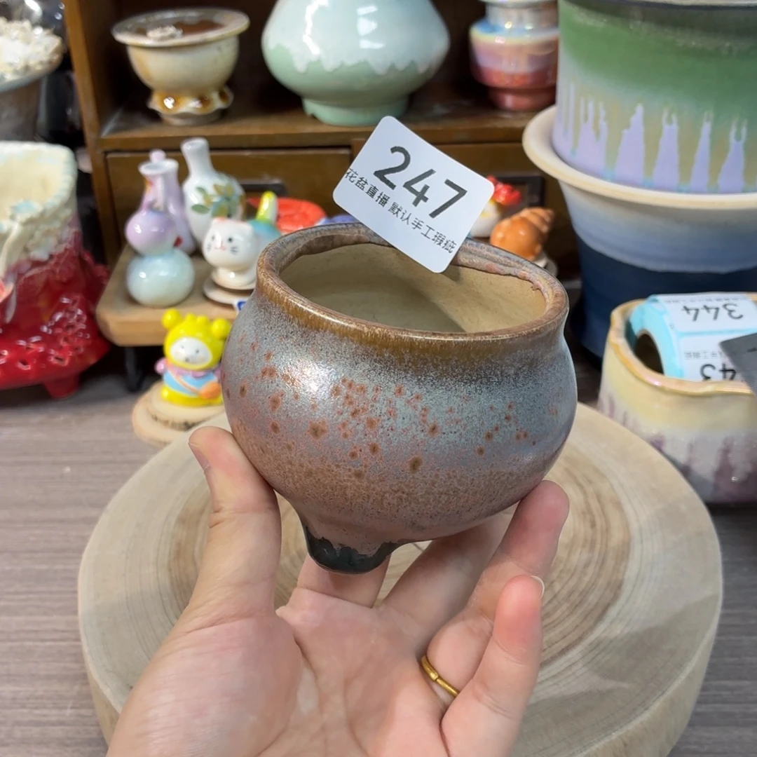 花盆花盆花盆花盆