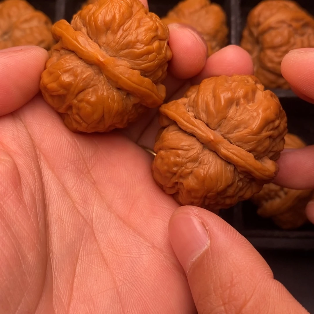 吊坠文玩核桃秦岭野生植物资源