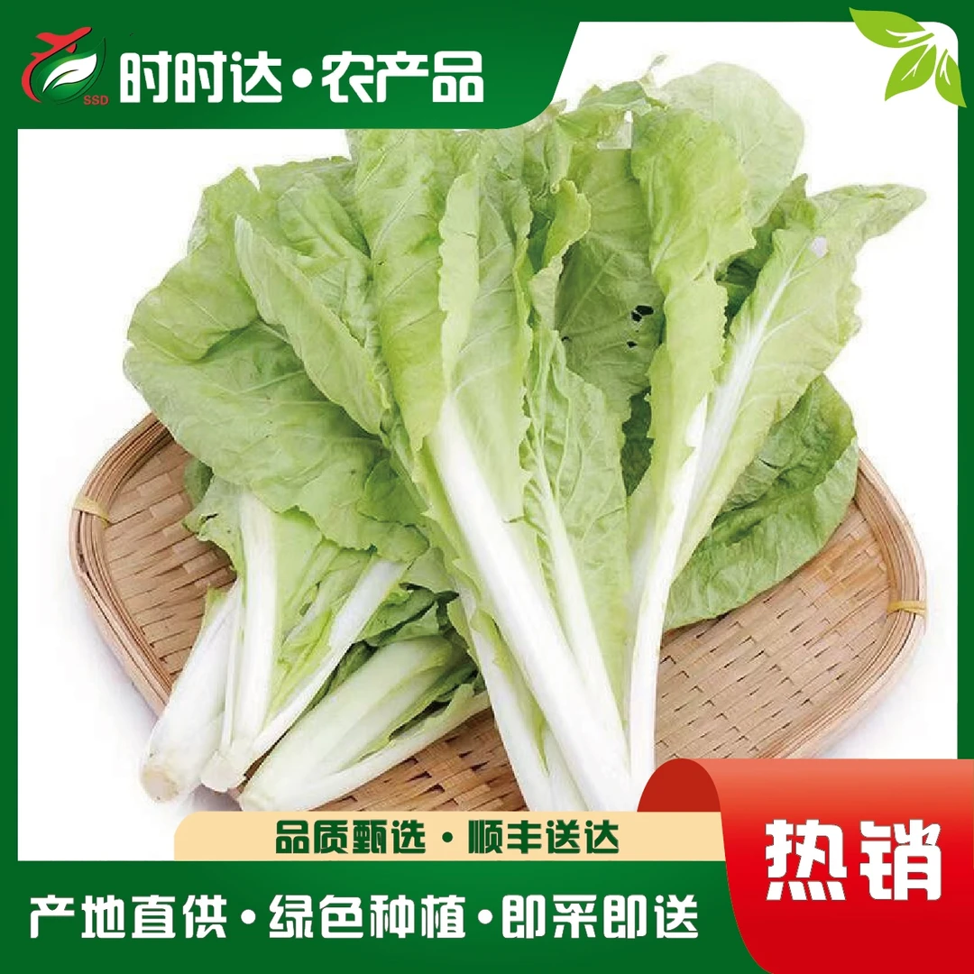 本地小白菜，新鲜采摘300±10g/份配送蔬菜平台减肥蔬菜正宗农家新鲜蔬菜无公害新鲜蔬菜纯天然绿色蔬菜
