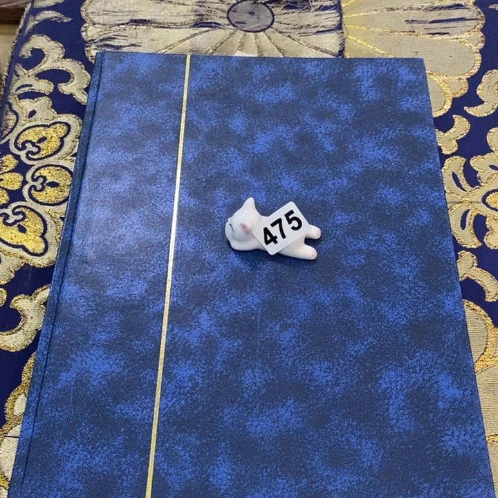 瓷片哦哦哦哦哦哦哦哦