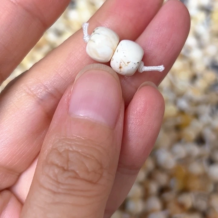裸石蜜蜡未镶嵌8.5mm一对